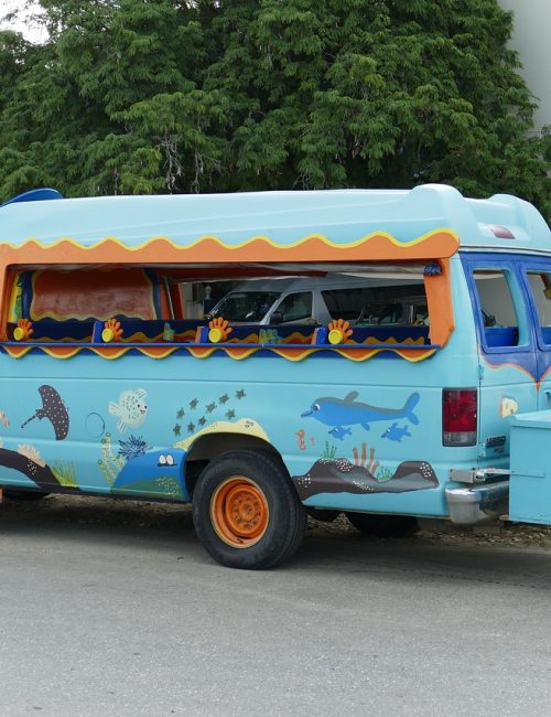 bus, autobus, transport, traffic, vehicle, to travel, tourists, travel, antique car, caribbean, curacao, autobus, autobus, autobus, autobus, curacao, curacao, curacao, curacao, curacao